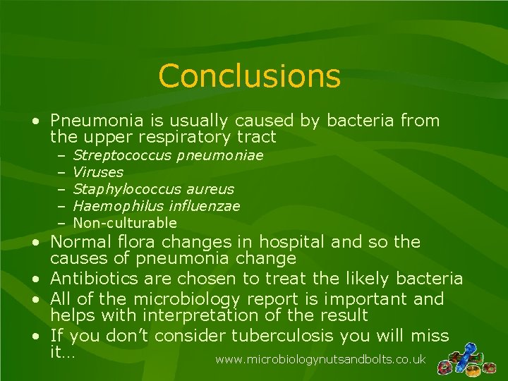 Conclusions • Pneumonia is usually caused by bacteria from the upper respiratory tract –
