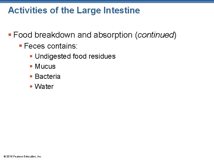 Activities of the Large Intestine § Food breakdown and absorption (continued) § Feces contains: