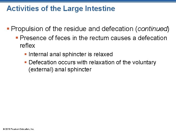 Activities of the Large Intestine § Propulsion of the residue and defecation (continued) §