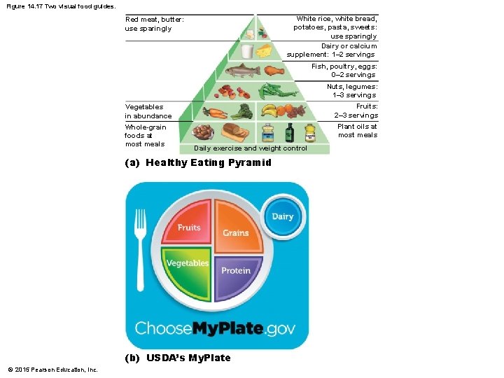 Figure 14. 17 Two visual food guides. White rice, white bread, potatoes, pasta, sweets: