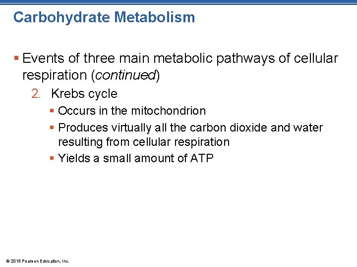 Carbohydrate Metabolism § Events of three main metabolic pathways of cellular respiration (continued) 2.