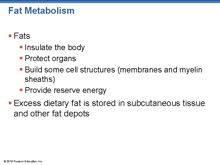 Fat Metabolism § Fats § Insulate the body § Protect organs § Build some