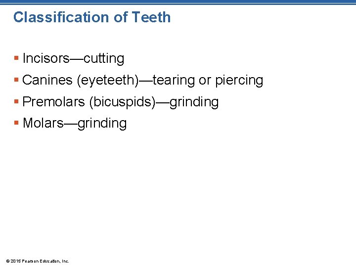 Classification of Teeth § Incisors—cutting § Canines (eyeteeth)—tearing or piercing § Premolars (bicuspids)—grinding §