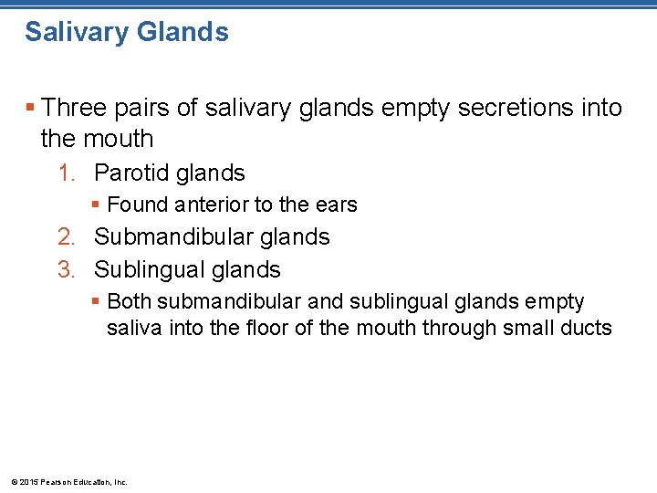 Salivary Glands § Three pairs of salivary glands empty secretions into the mouth 1.