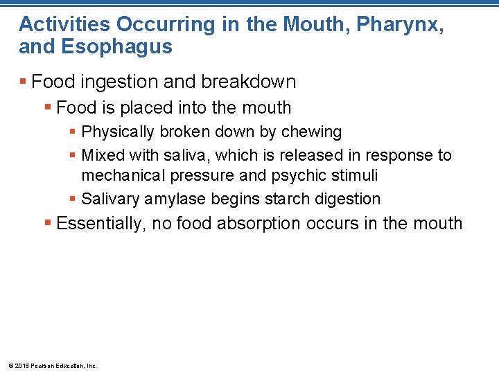 Activities Occurring in the Mouth, Pharynx, and Esophagus § Food ingestion and breakdown §
