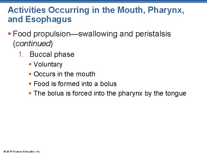 Activities Occurring in the Mouth, Pharynx, and Esophagus § Food propulsion—swallowing and peristalsis (continued)