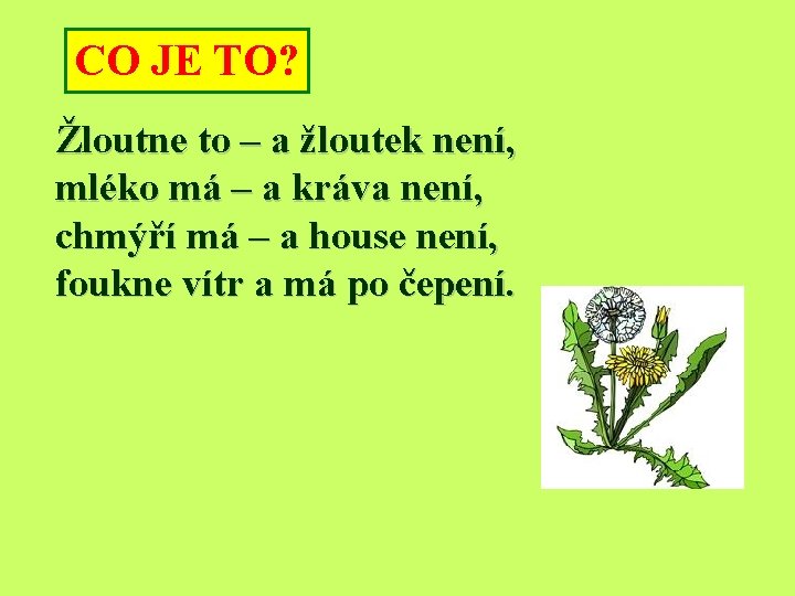 CO JE TO? Žloutne to – a žloutek není, mléko má – a kráva