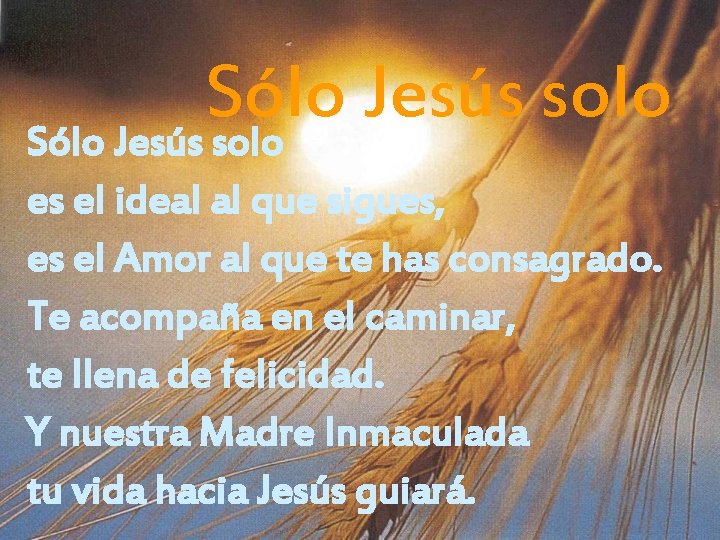 Sólo Jesús solo es el ideal al que sigues, es el Amor al que