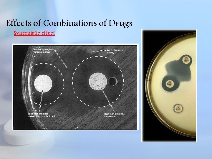 Effects of Combinations of Drugs Synergistic effect 