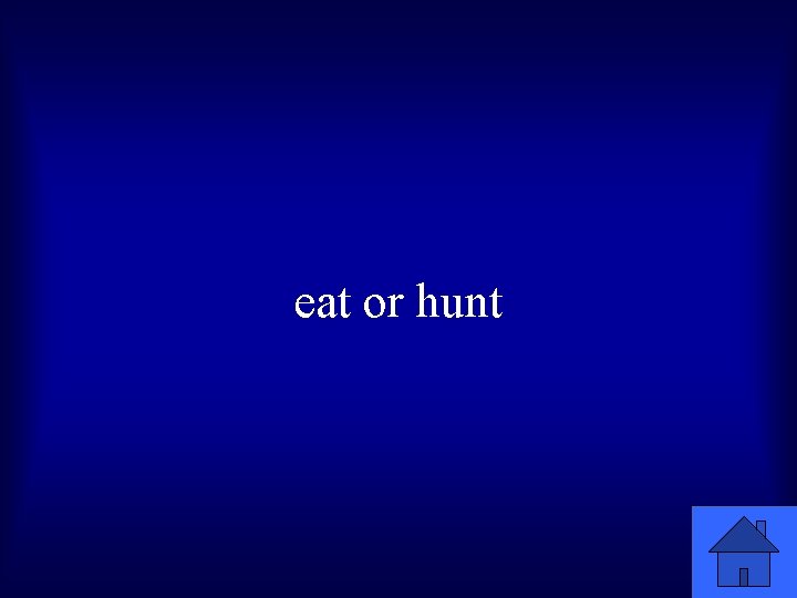 eat or hunt 