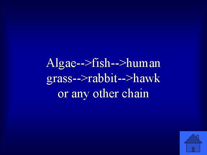 Algae-->fish-->human grass-->rabbit-->hawk or any other chain 