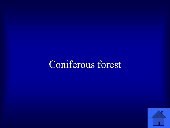 Coniferous forest 