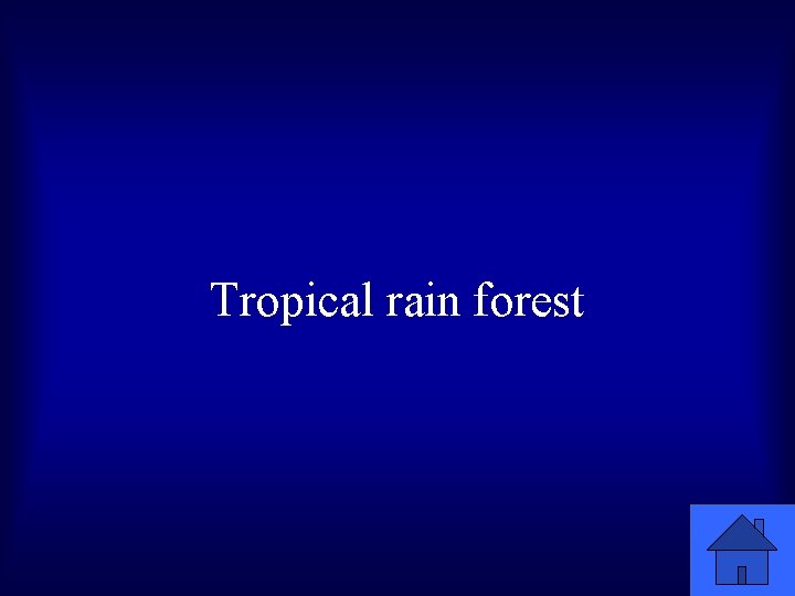 Tropical rain forest 