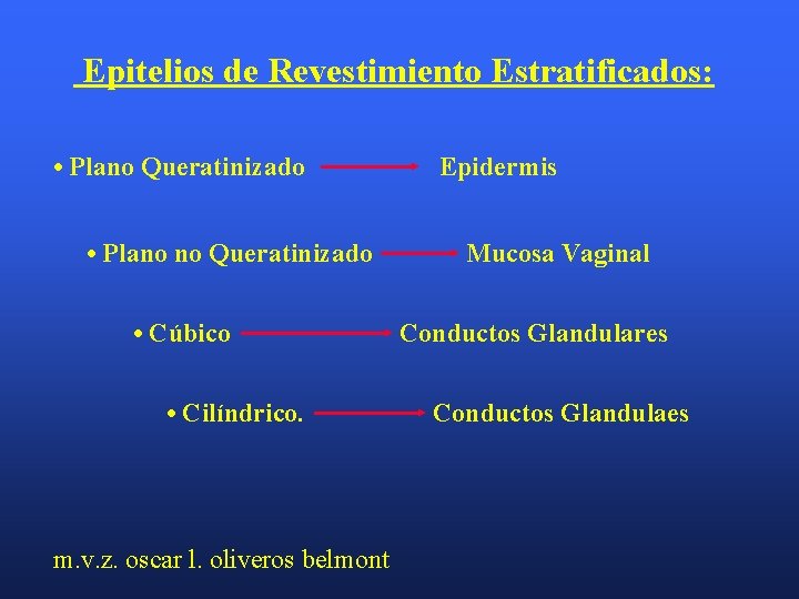 Epitelios de Revestimiento Estratificados: • Plano Queratinizado • Plano no Queratinizado • Cúbico •