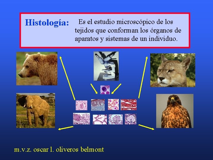 Histología: Es el estudio microscópico de los tejidos que conforman los órganos de aparatos
