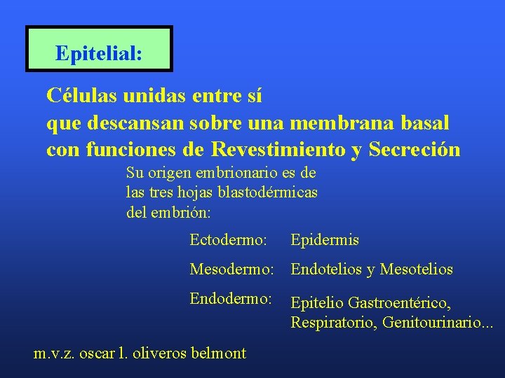Epitelial: Células unidas entre sí que descansan sobre una membrana basal con funciones de