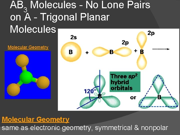 AB 3 Molecules - No Lone Pairs on A - Trigonal Planar Molecules Molecular