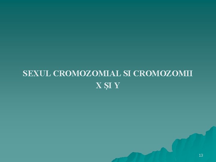 SEXUL CROMOZOMIAL SI CROMOZOMII X ŞI Y 13 