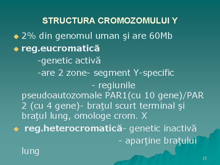 STRUCTURA CROMOZOMULUI Y 2% din genomul uman şi are 60 Mb u reg. eucromatică