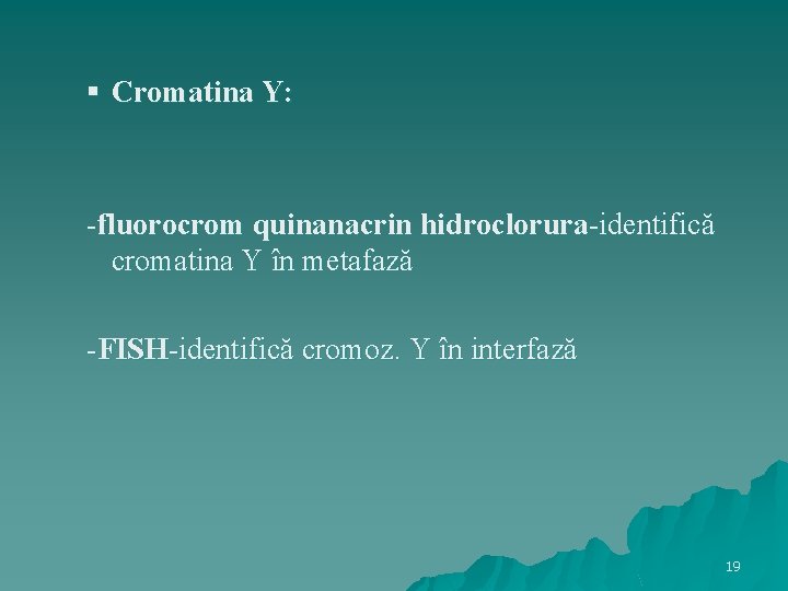 § Cromatina Y: -fluorocrom quinanacrin hidroclorura-identifică cromatina Y în metafază -FISH-identifică cromoz. Y în