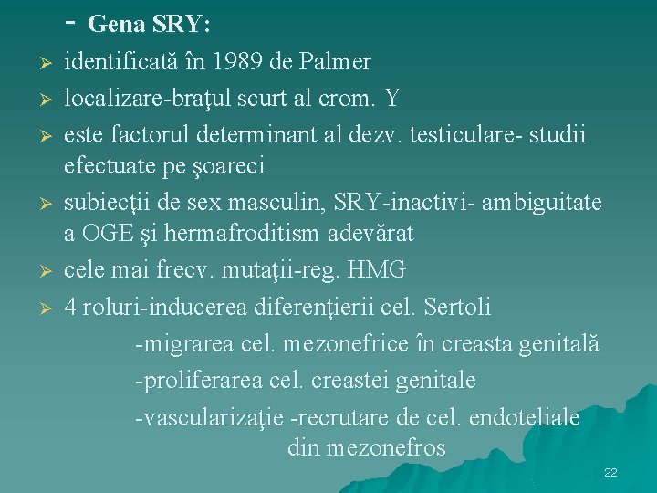 - Gena SRY: Ø Ø Ø identificată în 1989 de Palmer localizare-braţul scurt al