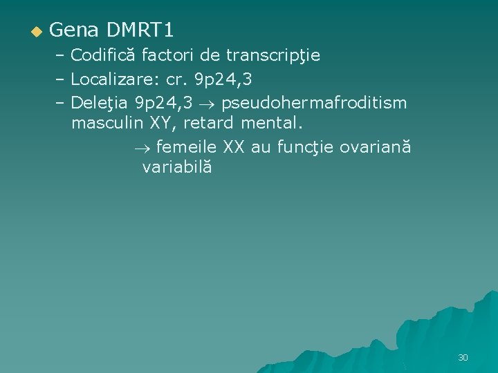 u Gena DMRT 1 – Codifică factori de transcripţie – Localizare: cr. 9 p