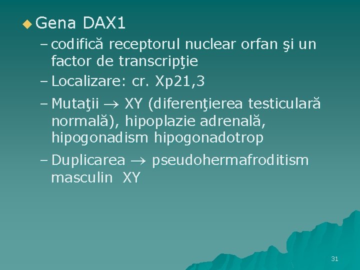 u Gena DAX 1 – codifică receptorul nuclear orfan şi un factor de transcripţie