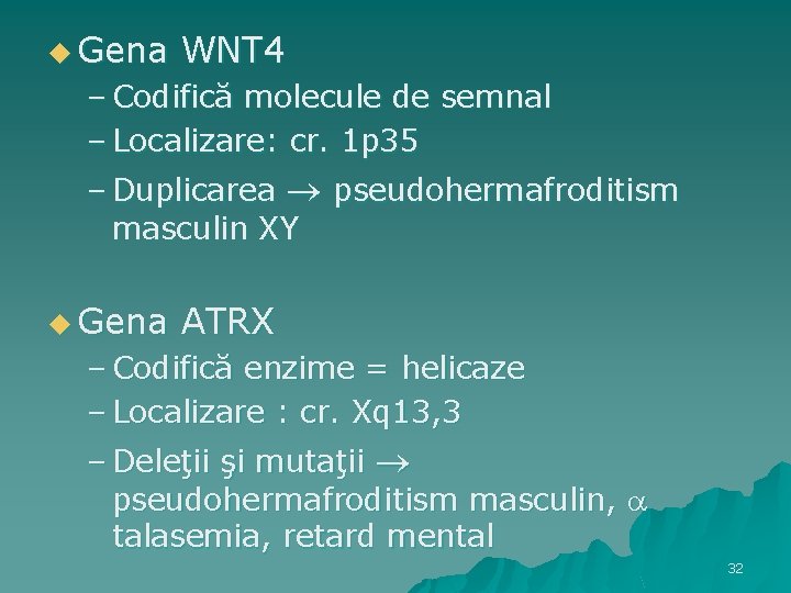 u Gena WNT 4 – Codifică molecule de semnal – Localizare: cr. 1 p