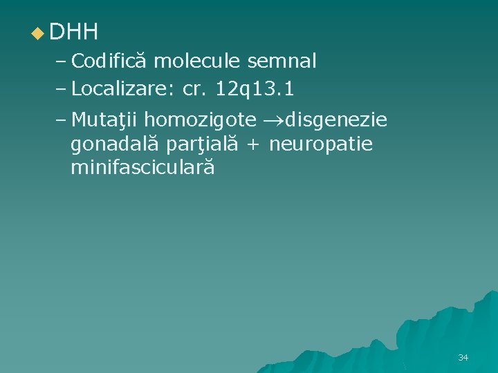 u DHH – Codifică molecule semnal – Localizare: cr. 12 q 13. 1 –