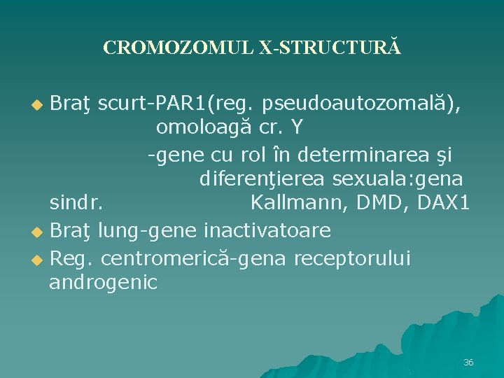 CROMOZOMUL X-STRUCTURĂ Braţ scurt-PAR 1(reg. pseudoautozomală), omoloagă cr. Y -gene cu rol în determinarea