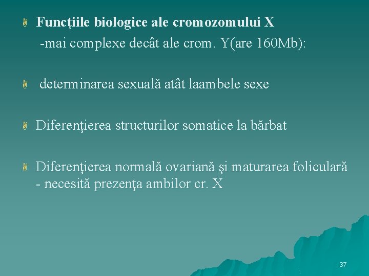  Funcţiile biologice ale cromozomului X -mai complexe decât ale crom. Y(are 160 Mb):