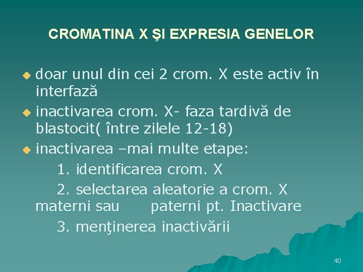 CROMATINA X ŞI EXPRESIA GENELOR doar unul din cei 2 crom. X este activ