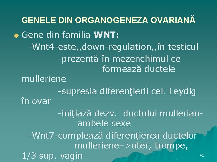 GENELE DIN ORGANOGENEZA OVARIANĂ Gene din familia WNT: -Wnt 4 -este, , down-regulation, ,