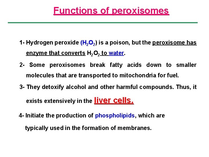  Functions of peroxisomes 1 - Hydrogen peroxide (H 2 O 2) is a