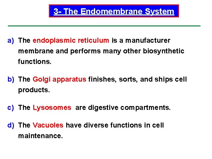 3 - The Endomembrane System a) The endoplasmic reticulum is a manufacturer membrane and