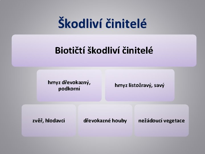 Škodliví činitelé Biotičtí škodliví činitelé hmyz dřevokazný, podkorní zvěř, hlodavci hmyz listožravý, savý dřevokazné