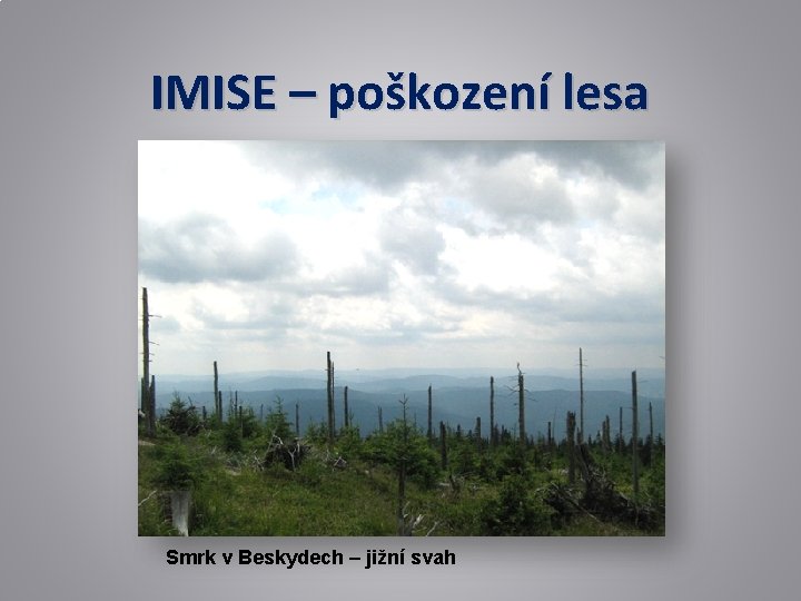 IMISE – poškození lesa Smrk v Beskydech – jižní svah 