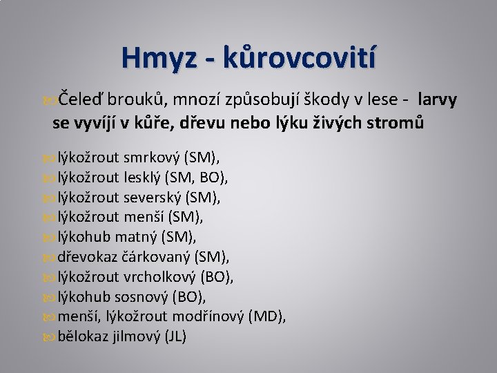 Hmyz - kůrovcovití Čeleď brouků, mnozí způsobují škody v lese - larvy se vyvíjí