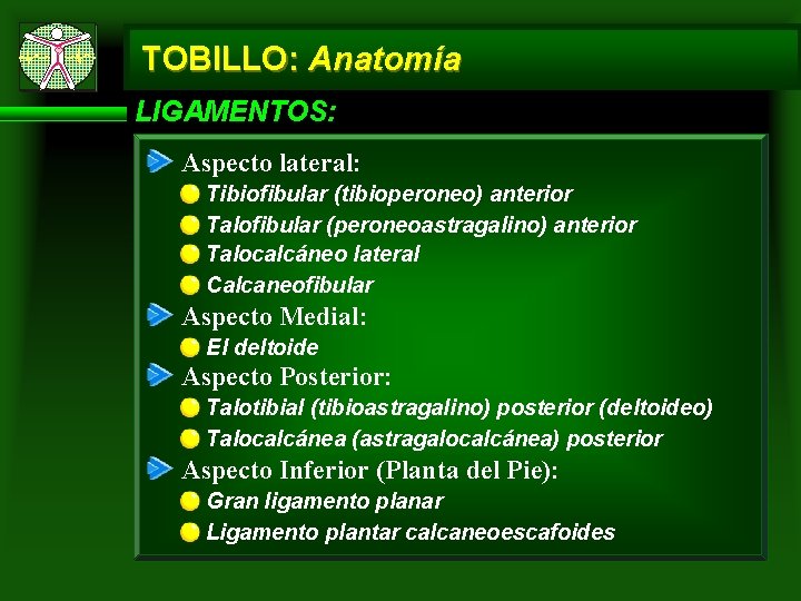 TOBILLO: Anatomía LIGAMENTOS: Aspecto lateral: Tibiofibular (tibioperoneo) anterior Talofibular (peroneoastragalino) anterior Talocalcáneo lateral Calcaneofibular