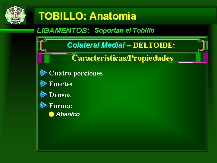 TOBILLO: Anatomía LIGAMENTOS: Soportan el Tobillo Colateral Medial – DELTOIDE: Características/Propiedades Cuatro porciones Fuertes