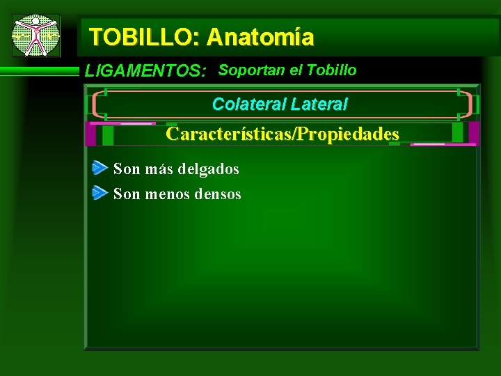 TOBILLO: Anatomía LIGAMENTOS: Soportan el Tobillo Colateral Lateral Características/Propiedades Son más delgados Son menos