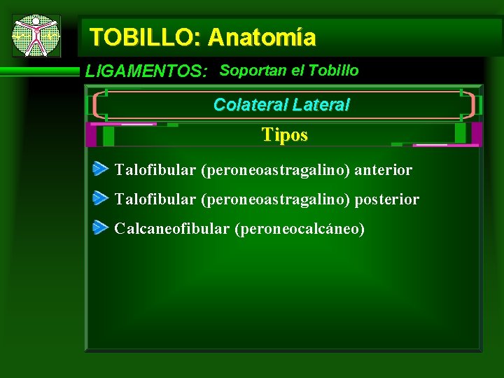TOBILLO: Anatomía LIGAMENTOS: Soportan el Tobillo Colateral Lateral Tipos Talofibular (peroneoastragalino) anterior Talofibular (peroneoastragalino)