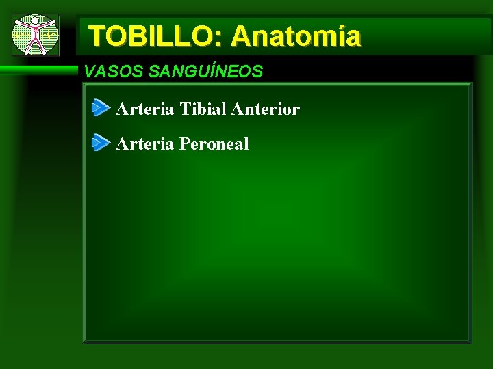 TOBILLO: Anatomía VASOS SANGUÍNEOS Arteria Tibial Anterior Arteria Peroneal 