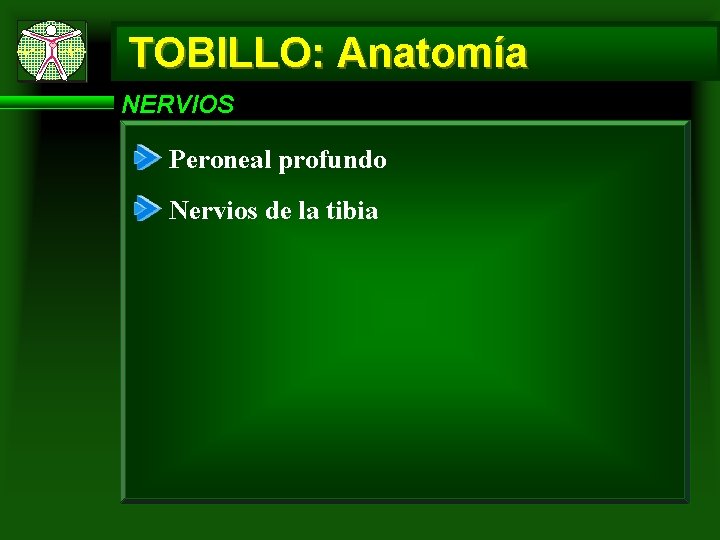 TOBILLO: Anatomía NERVIOS Peroneal profundo Nervios de la tibia 