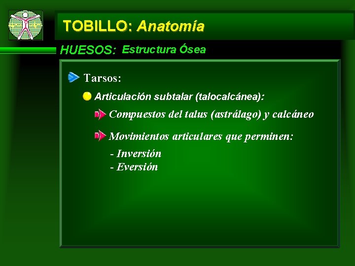 TOBILLO: Anatomía HUESOS: Estructura Ósea Tarsos: Articulación subtalar (talocalcánea): Compuestos del talus (astrálago) y