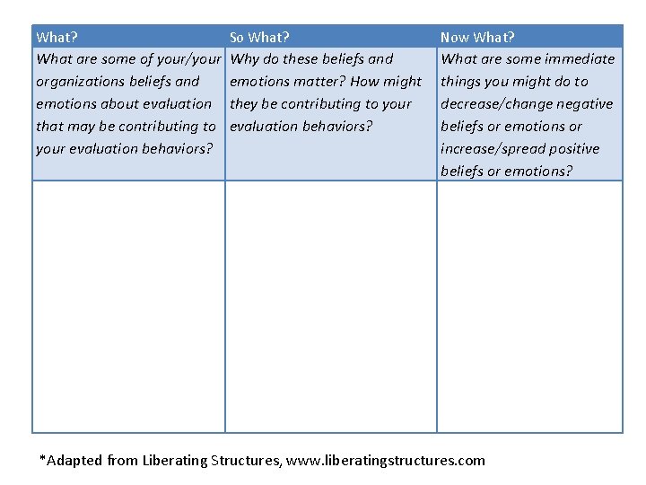 What? So What? Now What? What are some of your/your organizations beliefs and emotions