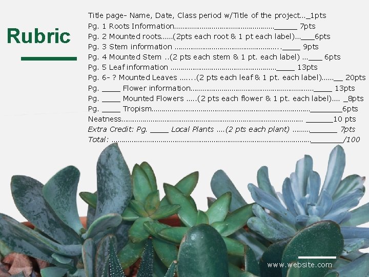 Rubric Title page- Name, Date, Class period w/Title of the project…_1 pts Pg. 1
