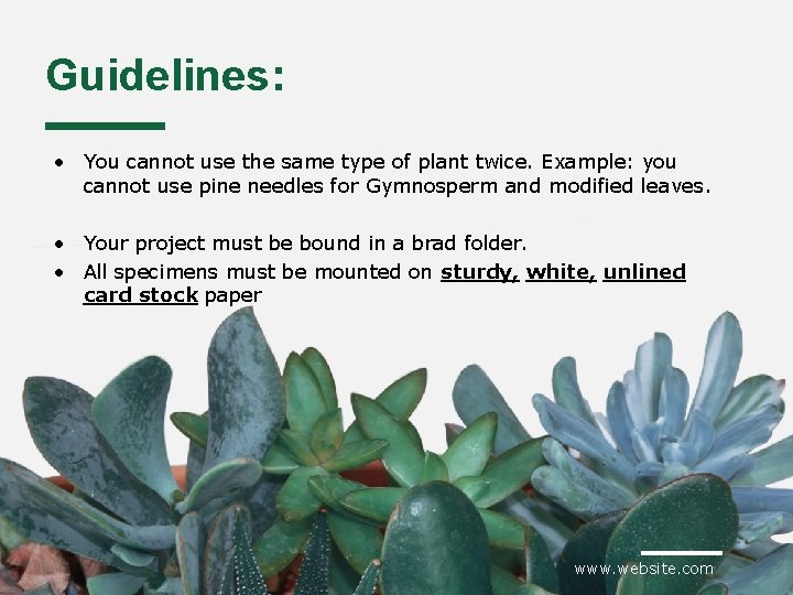 Guidelines: • You cannot use the same type of plant twice. Example: you cannot