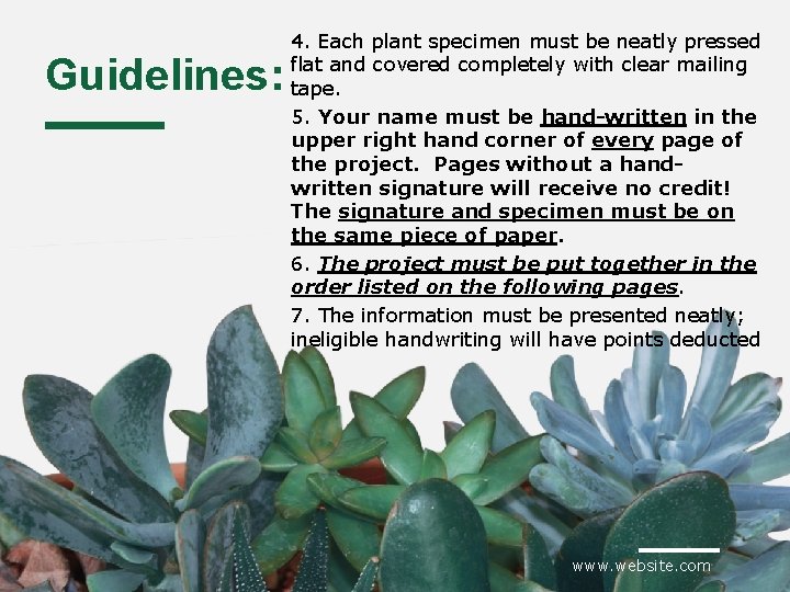 Guidelines: 4. Each plant specimen must be neatly pressed flat and covered completely with
