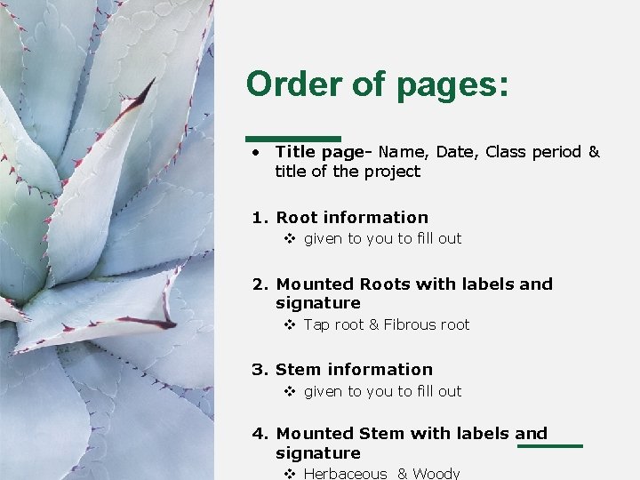 Order of pages: • Title page- Name, Date, Class period & title of the